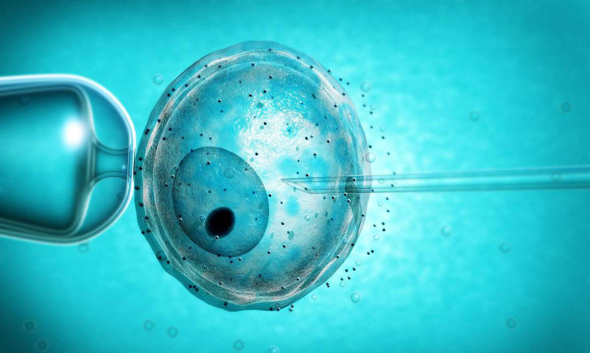 试管婴儿的产生