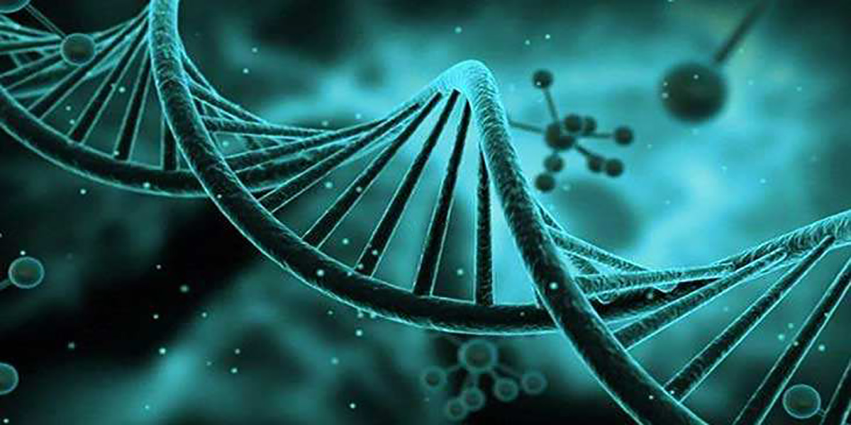 试管婴儿的精子来源与质量