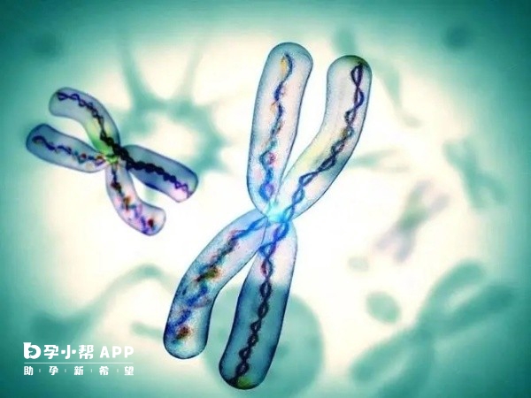 试管婴儿的伦理与社会影响