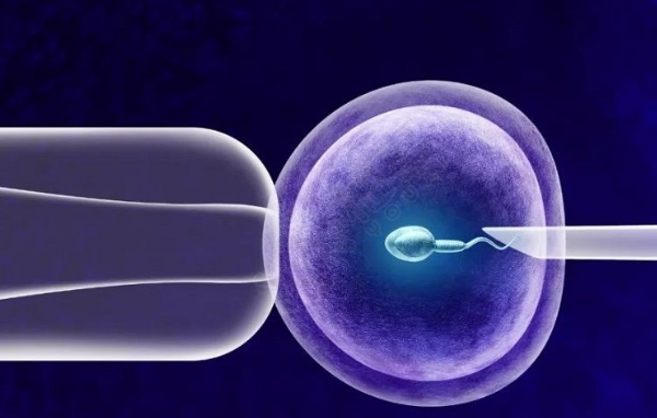 试管婴儿移植后休息时间探讨