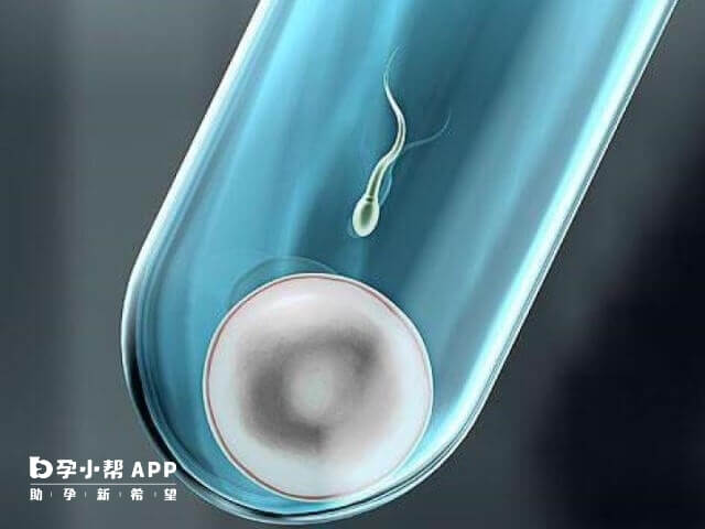 试管婴儿的伦理与法律问题