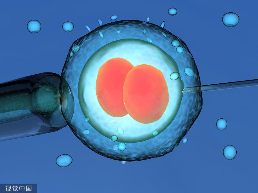 试管婴儿治疗周期时长分析