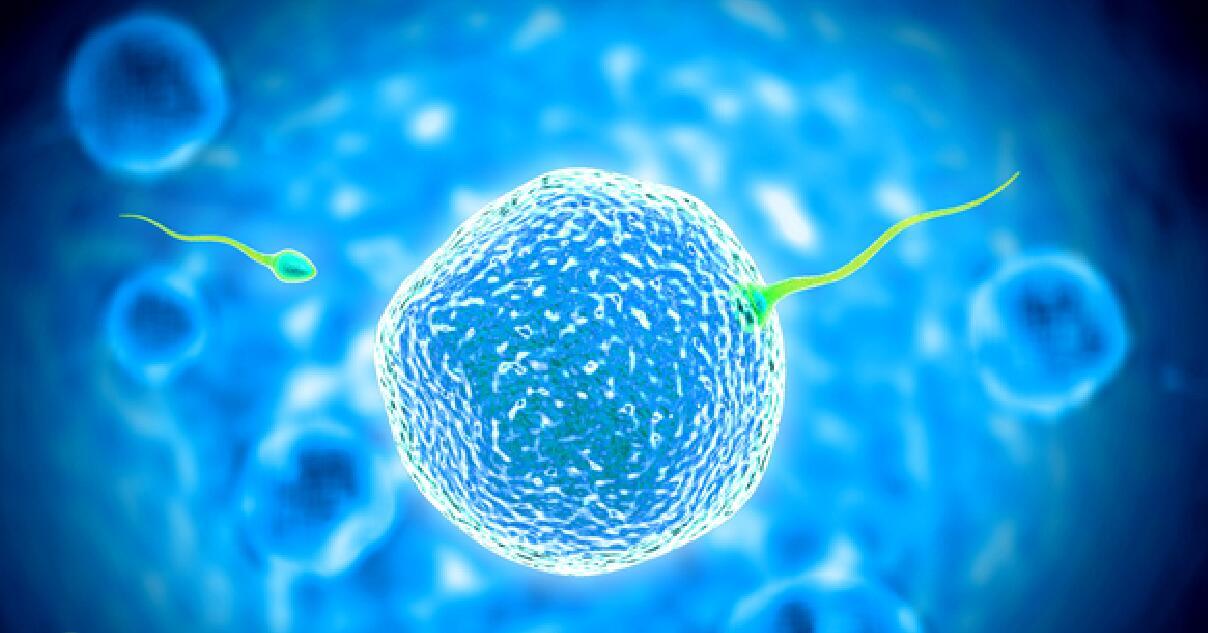 试管婴儿相关检查项目