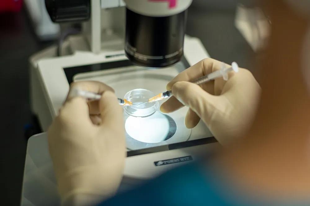 试管婴儿有做吗