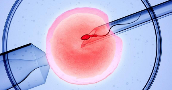 试管婴儿移植后孕期三个月内工作风险分析