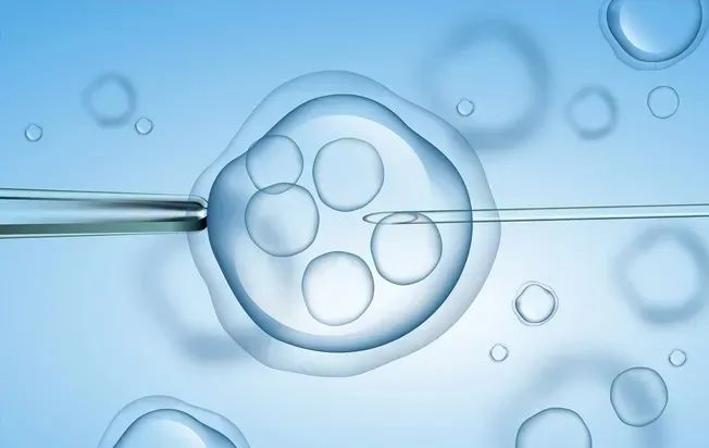 试管婴儿流程详解